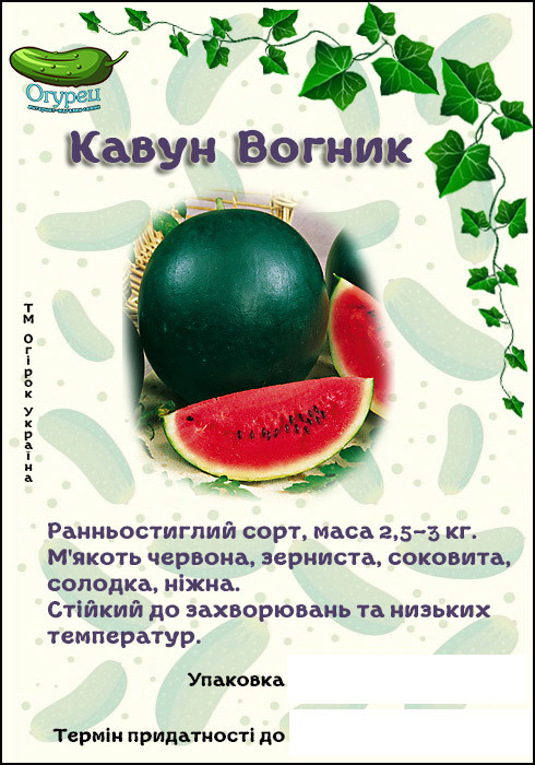 Кавун Вогник