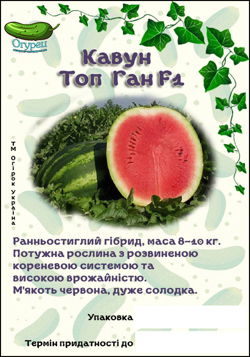 Арбуз Топ-Ган
