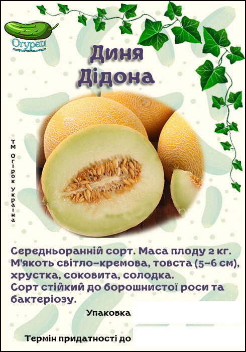 Диня Дідона