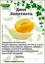 Диня Золотиста