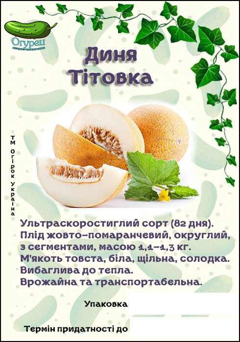 Диня Титівка (ОГ)