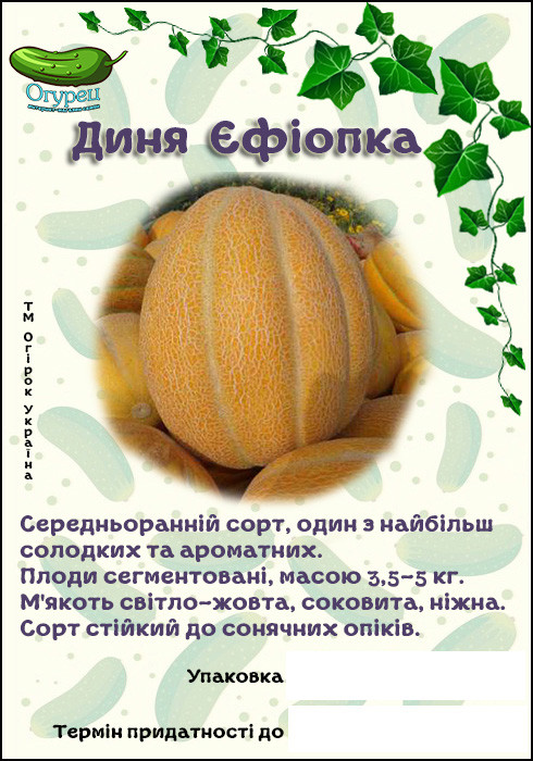 Диня Ефіопка