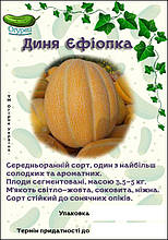 Диня Ефіопка