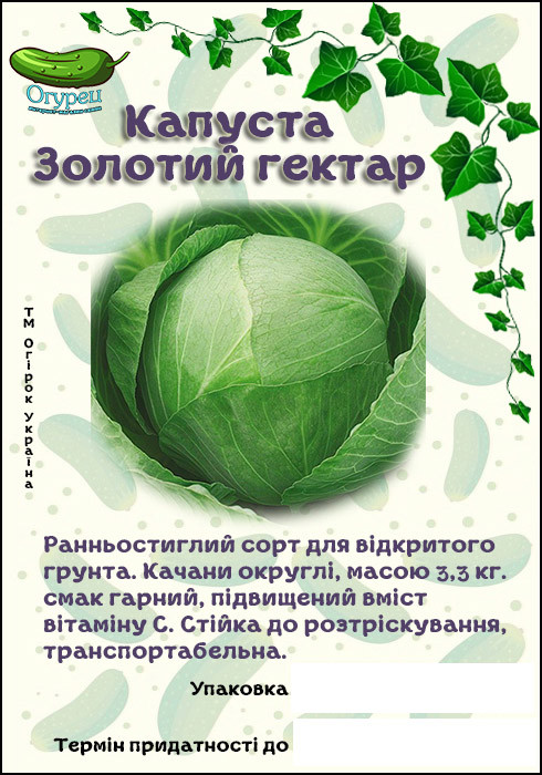 Капуста Золотий Гектар білокачанна