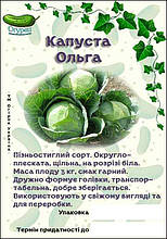 Капуста Ольга білоголова (ОГ)