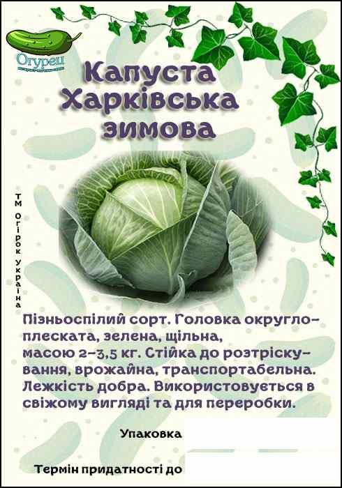 Капуста Харківська Зимова білокачанна (ОГ)