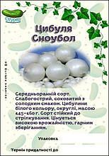 Цибуля Сноуболл білий