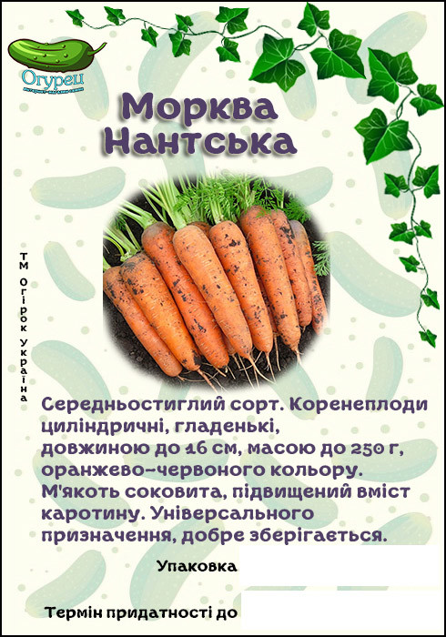 Морква Нантська