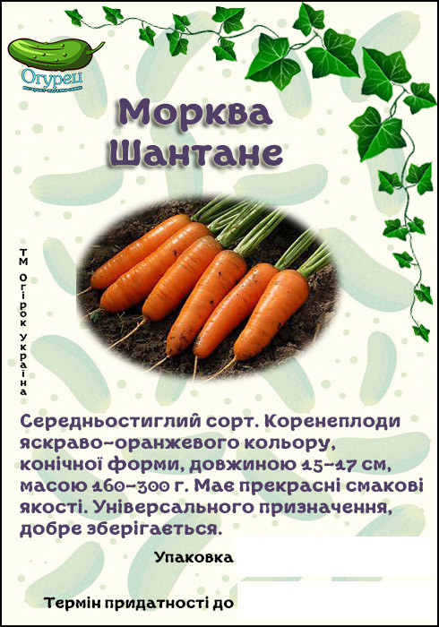 Морква Шантане