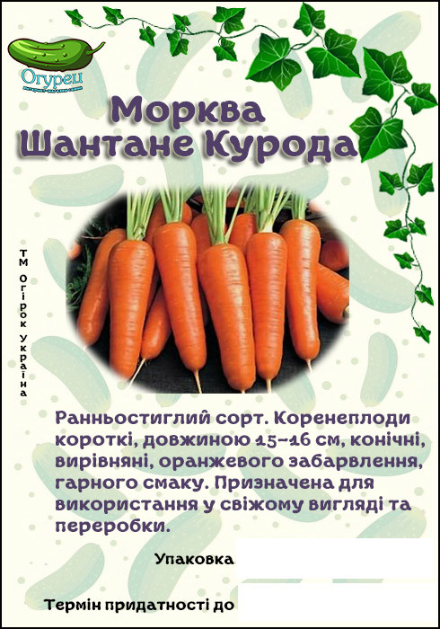 Морква Шантане Курода