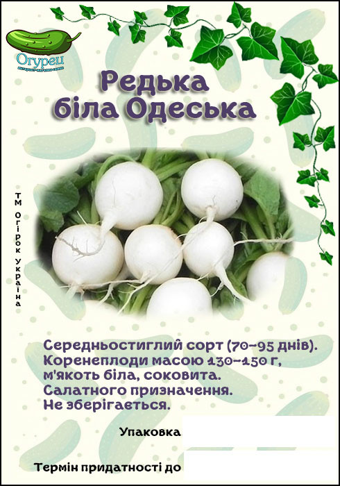 Редька Одеська біла