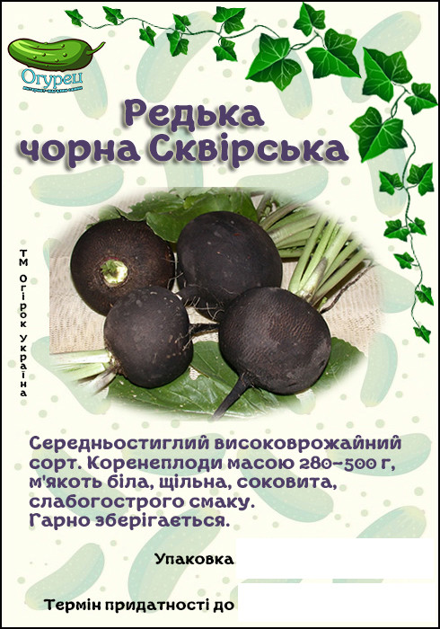 Редька Сквирська чорна