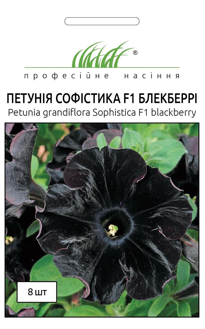Петунія Софістика F1 Блекберрі крупноквіткова (ПС) 8 насіння