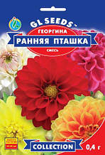 Жоржина Рання пташка Суміш 0,4 г