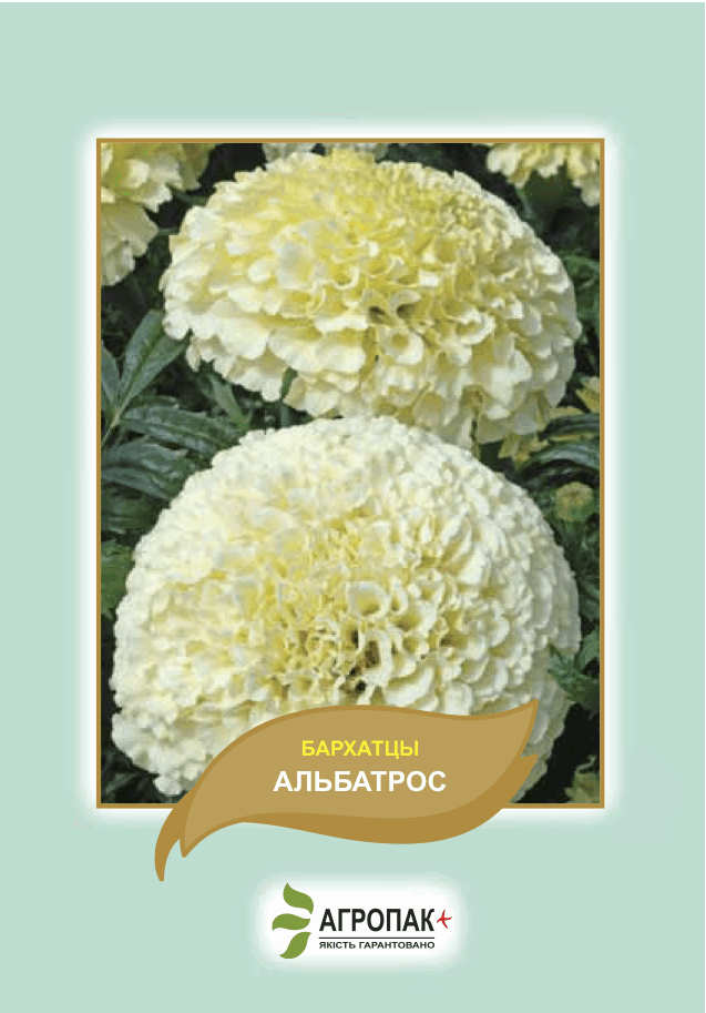 Чорнобривці Альбатрос 0,1 г