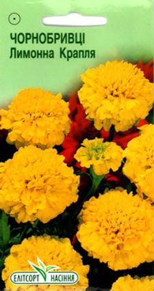 Насіння Оксамитове Лимонне крапля 0,5 г, фото 1