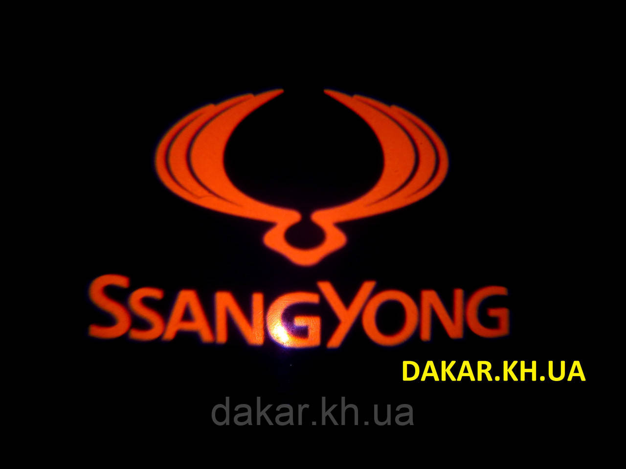 Проєктор логотипу Ssang Yong в автомобільні двері Санг Йонг, фото 1