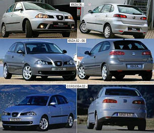 Дзеркала для Seat Ibiza 2002-09