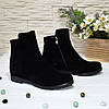 Черевики чорні жіночі замшеві на низькому ходу, фото 3