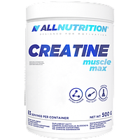 Creatine Muscle Max All Nutrition, 500 грамів (без смаку)
