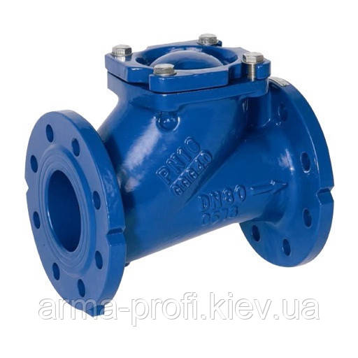 Клапан зворотний підйомний з кулею Genebre 2453 Ду 150