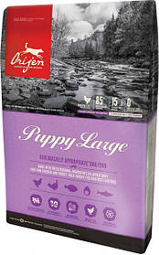 Сухий корм для цуценят великих порід Ориджен Orijen Puppy Large Breed 11,4 кг
