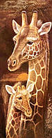 Алмазная вышивка" Жираф с детенышем ",тигр,лев,леопард,жираф, полная выкладка ,мозаика 5d, наборы 25х55 см