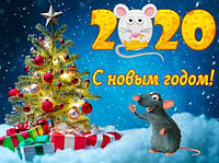 Happy New Year !