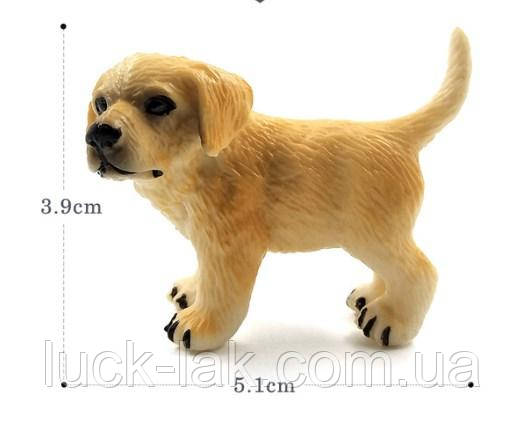 Собачка, фигурка для куклы, миниатюр, сувенир - фото 1 - id-p1103965718
