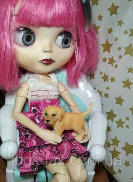 Собачка, фигурка для куклы, миниатюр, сувенир - фото 2 - id-p1103965718