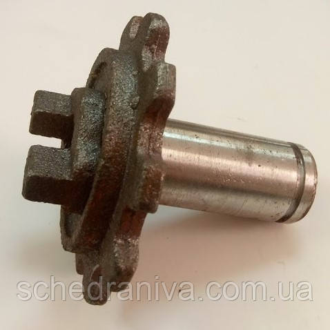 Зірочка СЗГ 00.204-01 (з'єднання зернових валів СЗ, Астра)