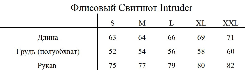 Свитшот флисовый мужской Intruder синий - фото 4 - id-p1104121131