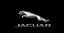 Jaguar / ягуар