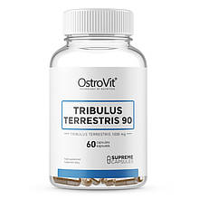 Трибулус OstroVit TRIBULUS TERRESTRIS 90  60 капсул