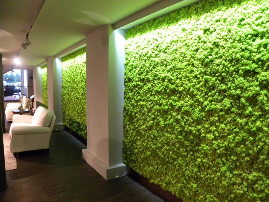 Фитостены и панели из стабилизированного мха: продажа, цена в Днепре ...