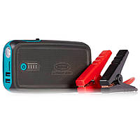 Пусковий зарядний пристрій Ring RPPL300