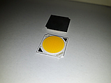 Cob LEd 30w (10-50w) DC 30-36V 900mA 19 мм. 4000K Круглий Світлодіод 30 вт COB для треку, фото 4