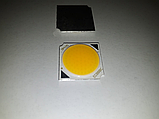 Cob LEd 30w (10-50w) DC 30-36V 900mA 19 мм. 4000K Круглий Світлодіод 30 вт COB для треку, фото 6