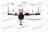 Honda FIT AF-51 TACT AF-30/31 Giorno Колінвал + голчастий, вал 14mm (фірма Formula-6) якісний, фото 6
