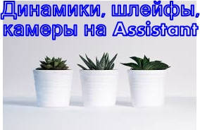 Assistant Динаміки, шлейфи, камери.