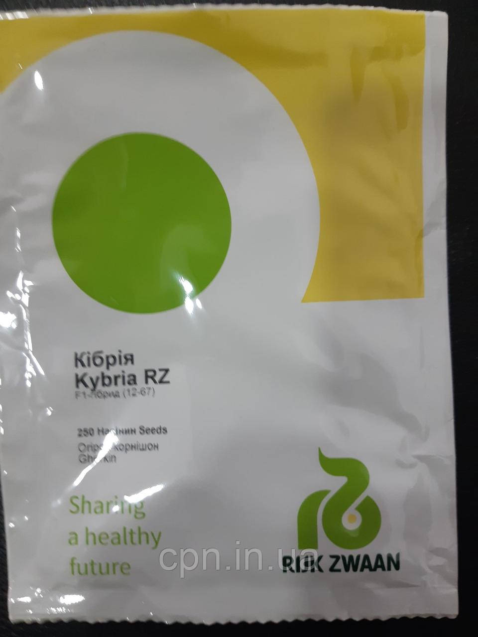 Насіння огірка Кібрія F1 / Kybria RZ F1 (250 н)