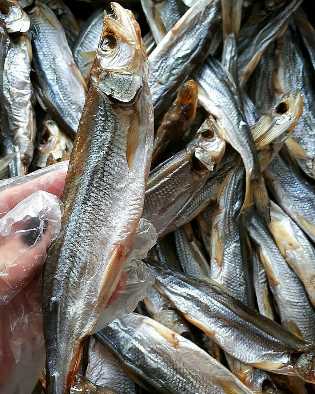 Корюшка с Икрой — Купить Недорого на Bigl.ua (1105474248)