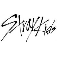 Stray Kids, SKZ