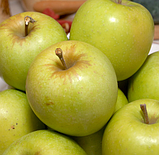 Яблуня Мутсу NK (ММ106). Пізньозимовий сорт. Однорічний, фото 3