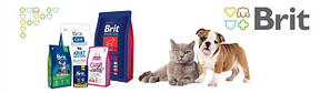 Корм Brit