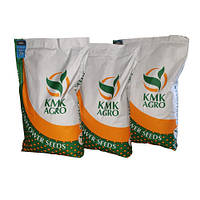 Соняшник Флокс Екстра