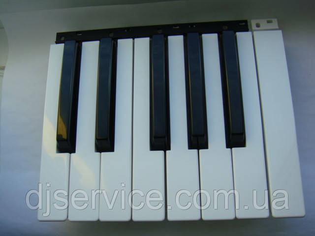 Ремкомплект 1 одна октава 7 white & 5 black для клавіш Korg PA600 X50 PA500 PA300
