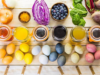 Алканна фарбувальна (коріня)