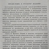 Теорія і практика ювелірної справи Бреполь Е., фото 5