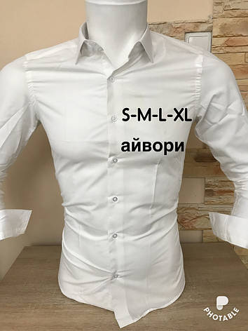 Однотонна сорочка Fiorenzo slim (ґудзик), фото 1